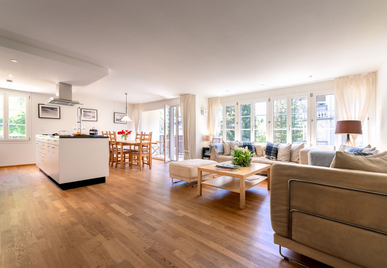 Apartment in Andermatt - Holzgasse Apartment