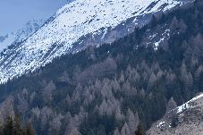 Apartment in Hospental - Apartment #2 Gemsblick